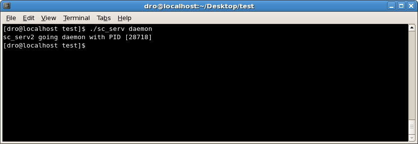 Example of the Linux DNAS Server Started as a Daemon